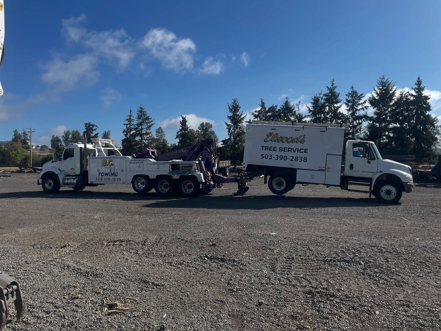 Elwood's Tree Service fleet