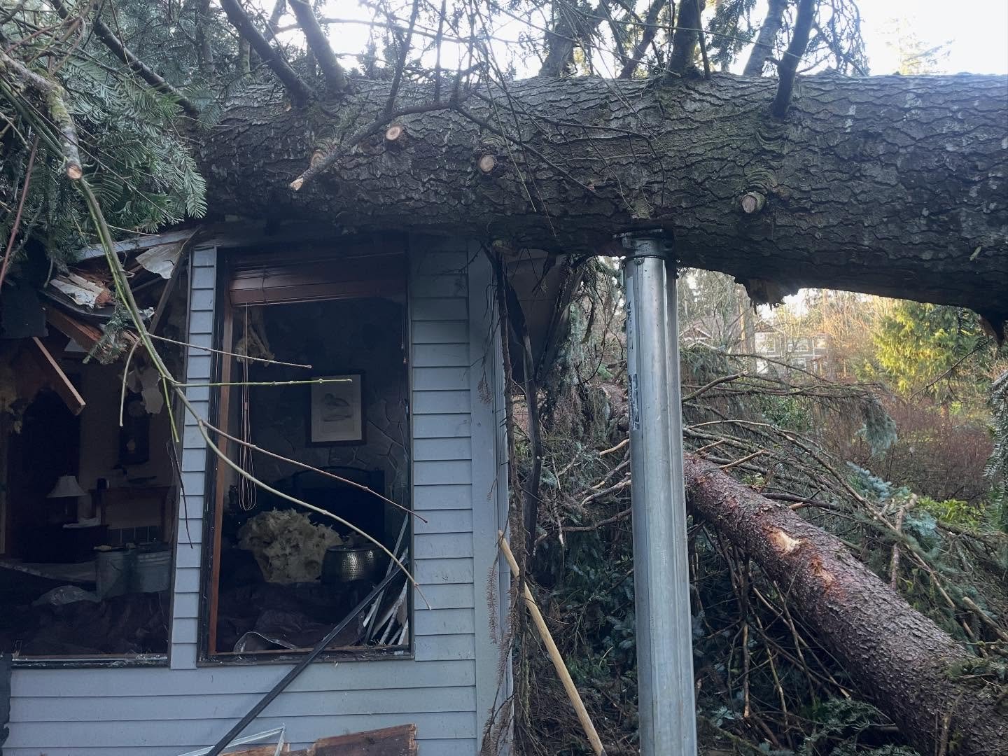 Large storm-damaged tree resting on an outbuilding