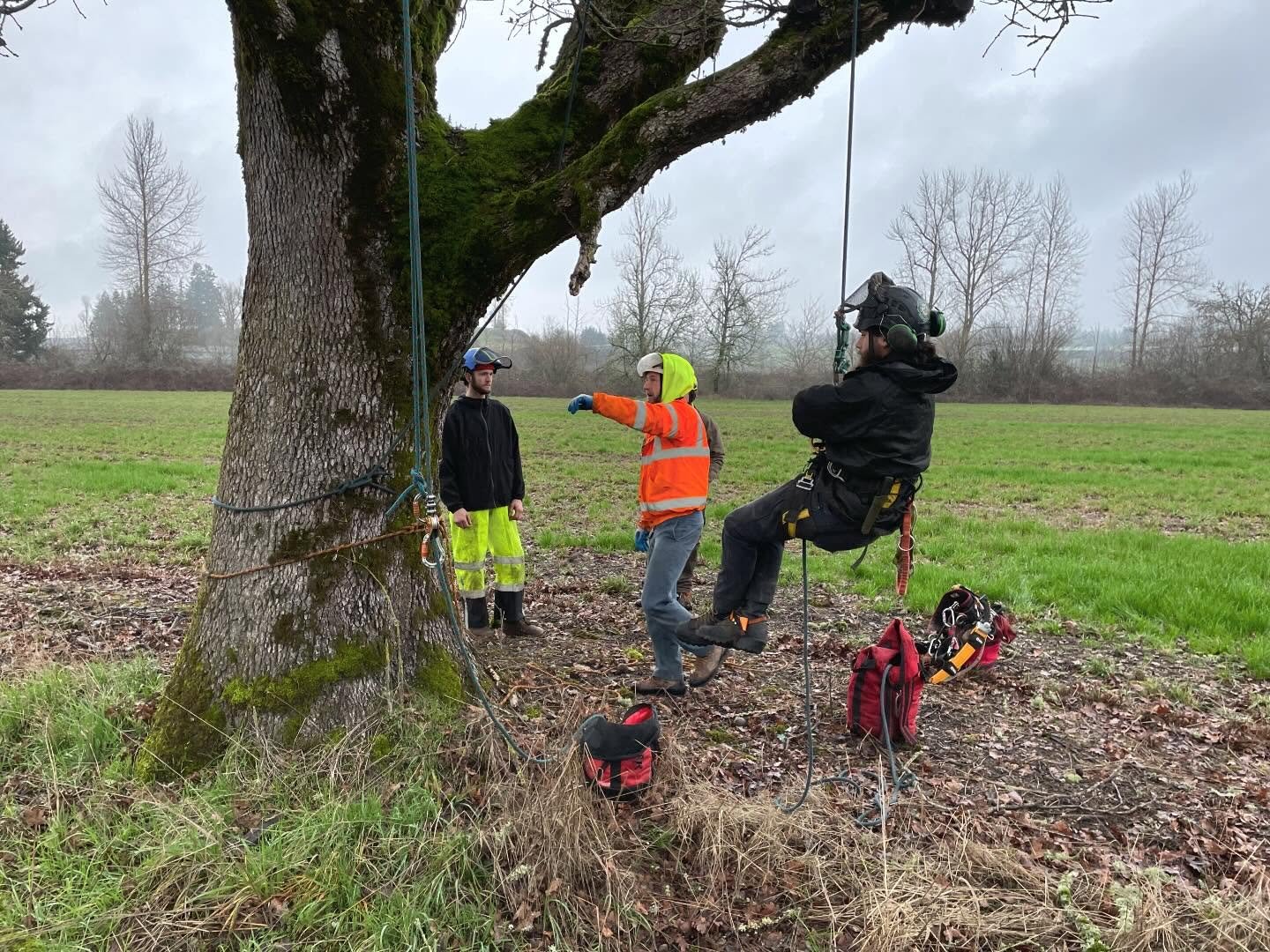 Aerial rescue training in the canopy