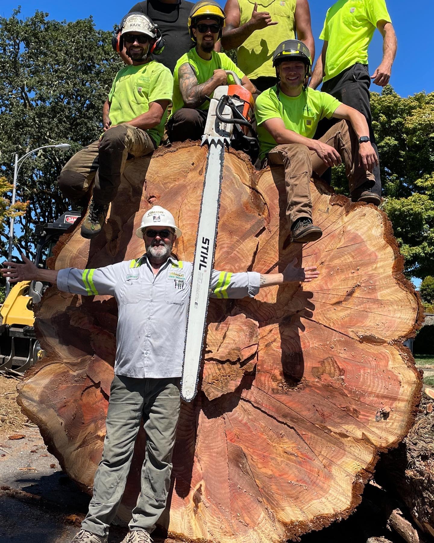 Elwood's team gathered with a giant tree round