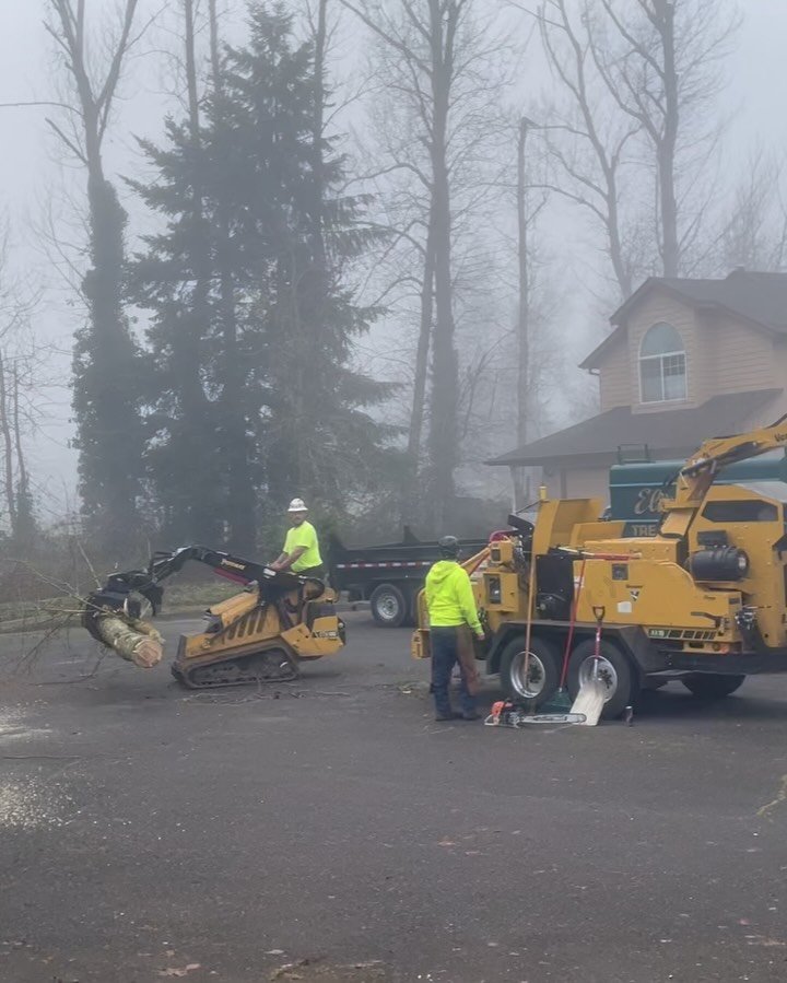 Crane crew coordinating a tree job